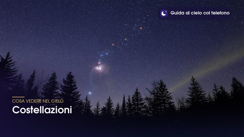 Costellazioni in un cielo invernale stellato sopra una fila di abeti