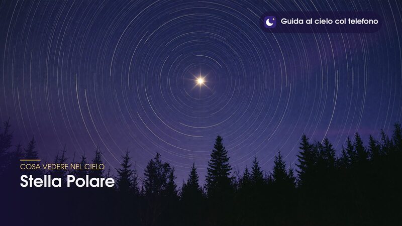 Scie circolari delle stelle intorno alla Stella Polare sopra un bosco